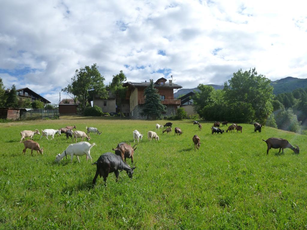 Agriturismo Barba Gust Cesana Torinese Eksteriør billede