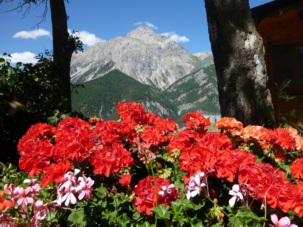 Agriturismo Barba Gust Cesana Torinese Eksteriør billede