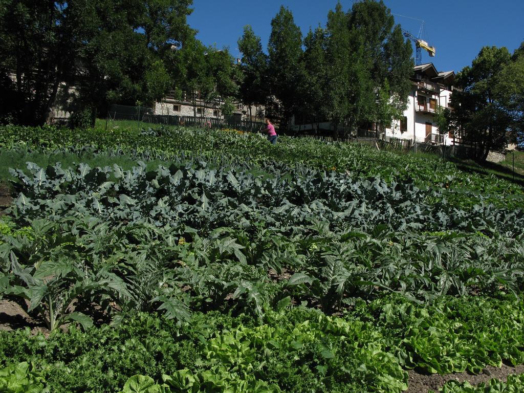 Agriturismo Barba Gust Cesana Torinese Eksteriør billede