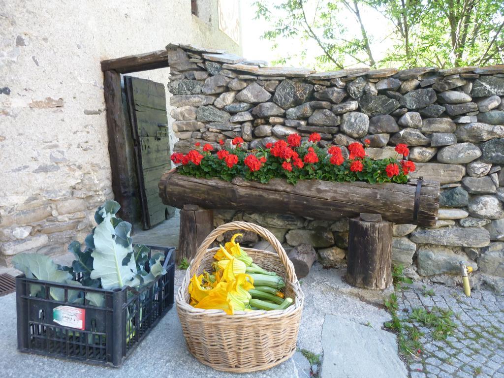 Agriturismo Barba Gust Cesana Torinese Eksteriør billede